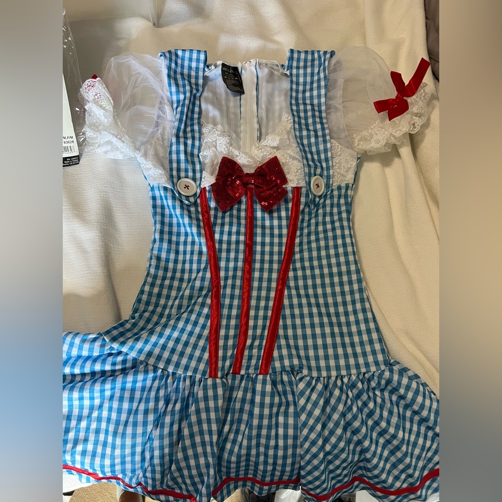 Diva Dorothy costume